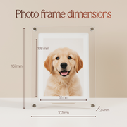 Digital Photo & Video Frame By Literro